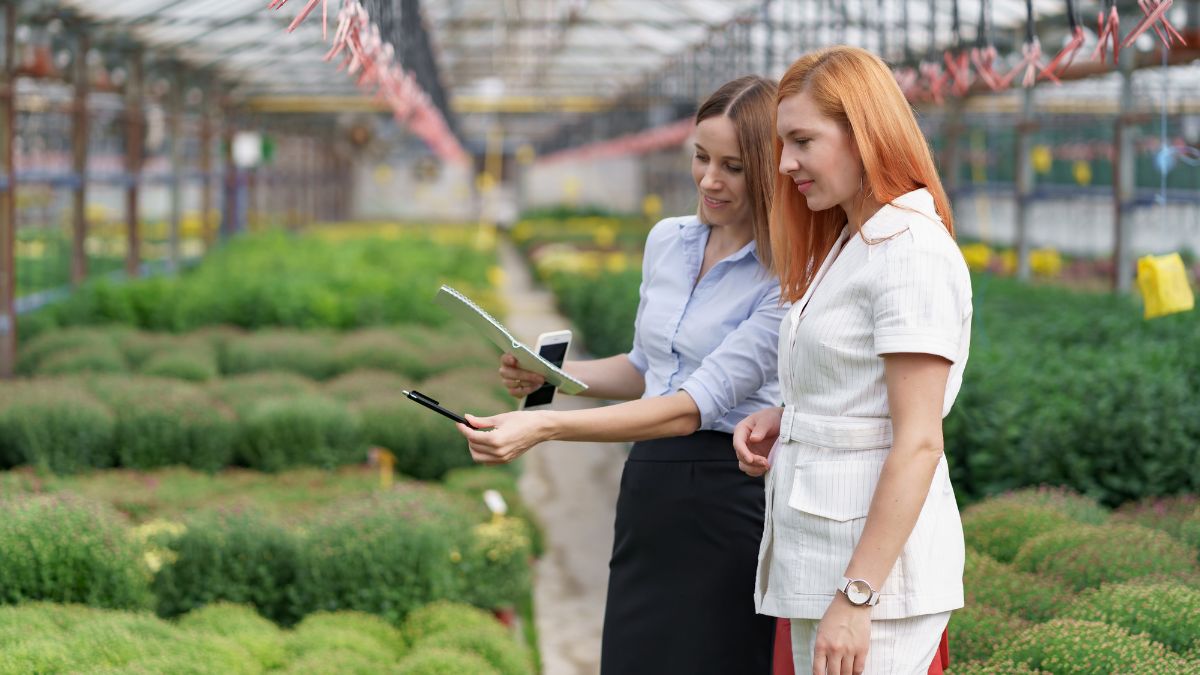 Plantation System: A Comprehensive, Human-Centered Guide